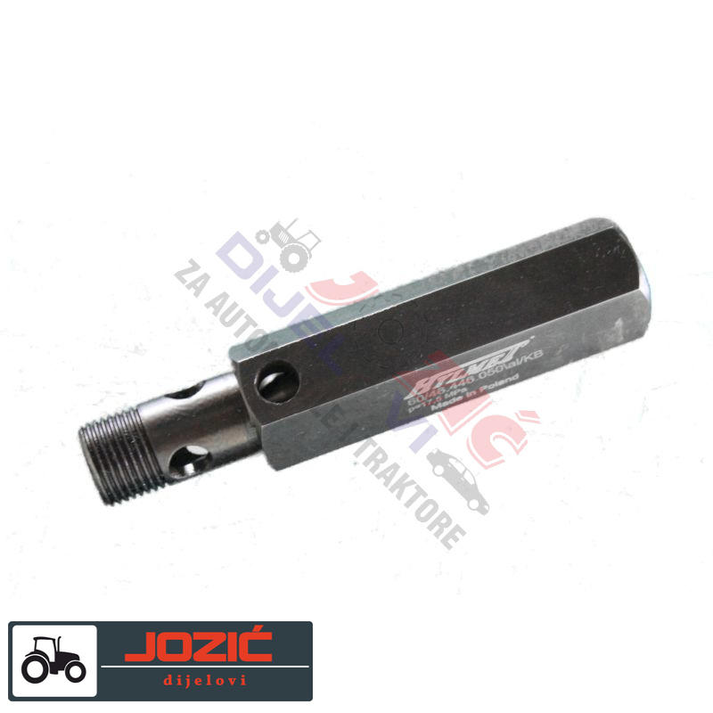 Daisy on the Ohoopee